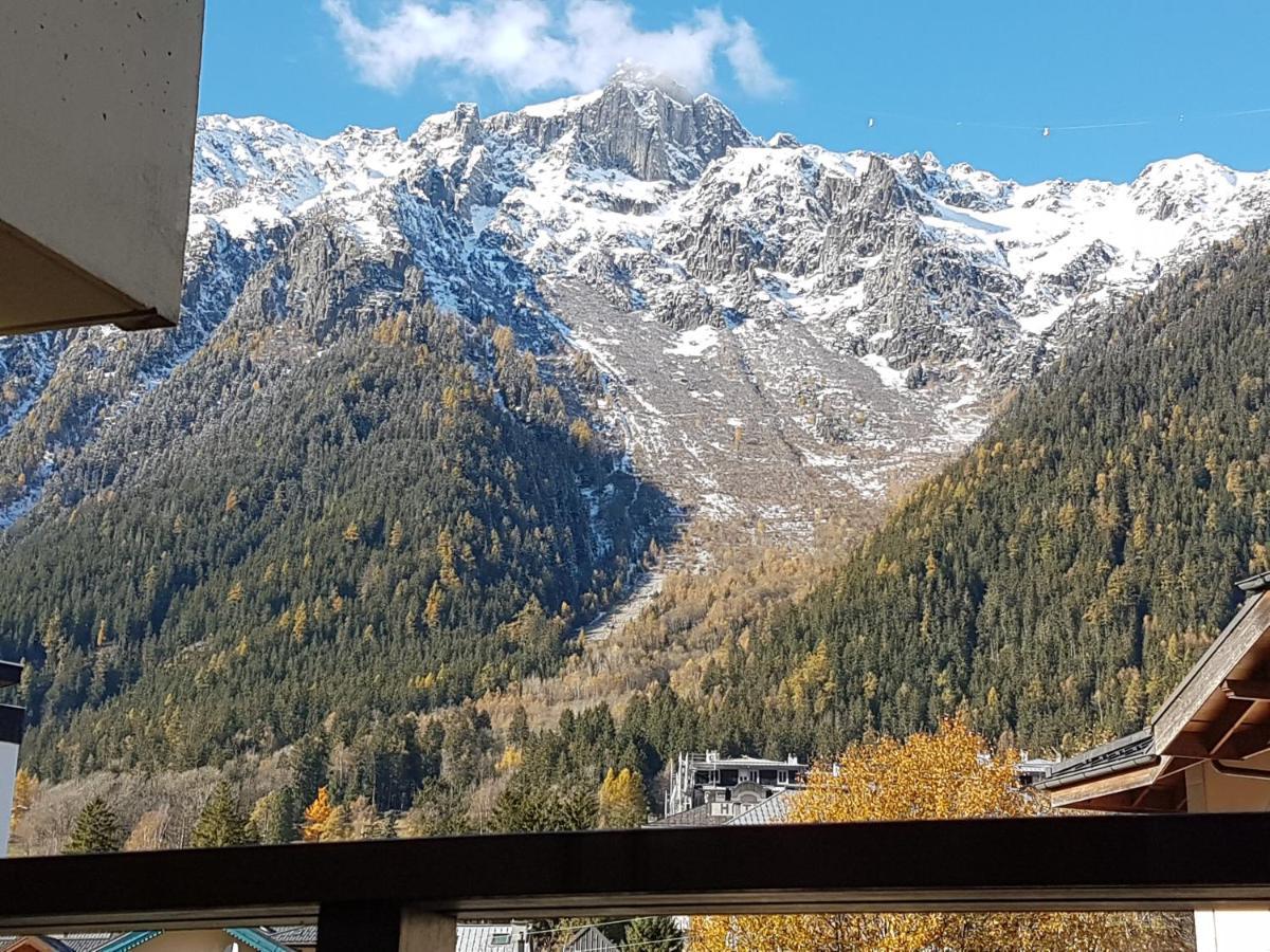 Vue Magique En Hypercentre Avec Parking Privatif Chamonix Zewnętrze zdjęcie